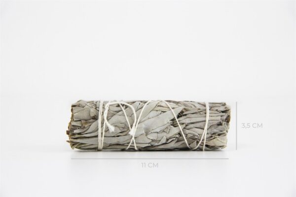 Ramillete de Salvia Blanca - Imagen 3