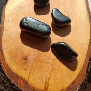 Piedra de Shungita