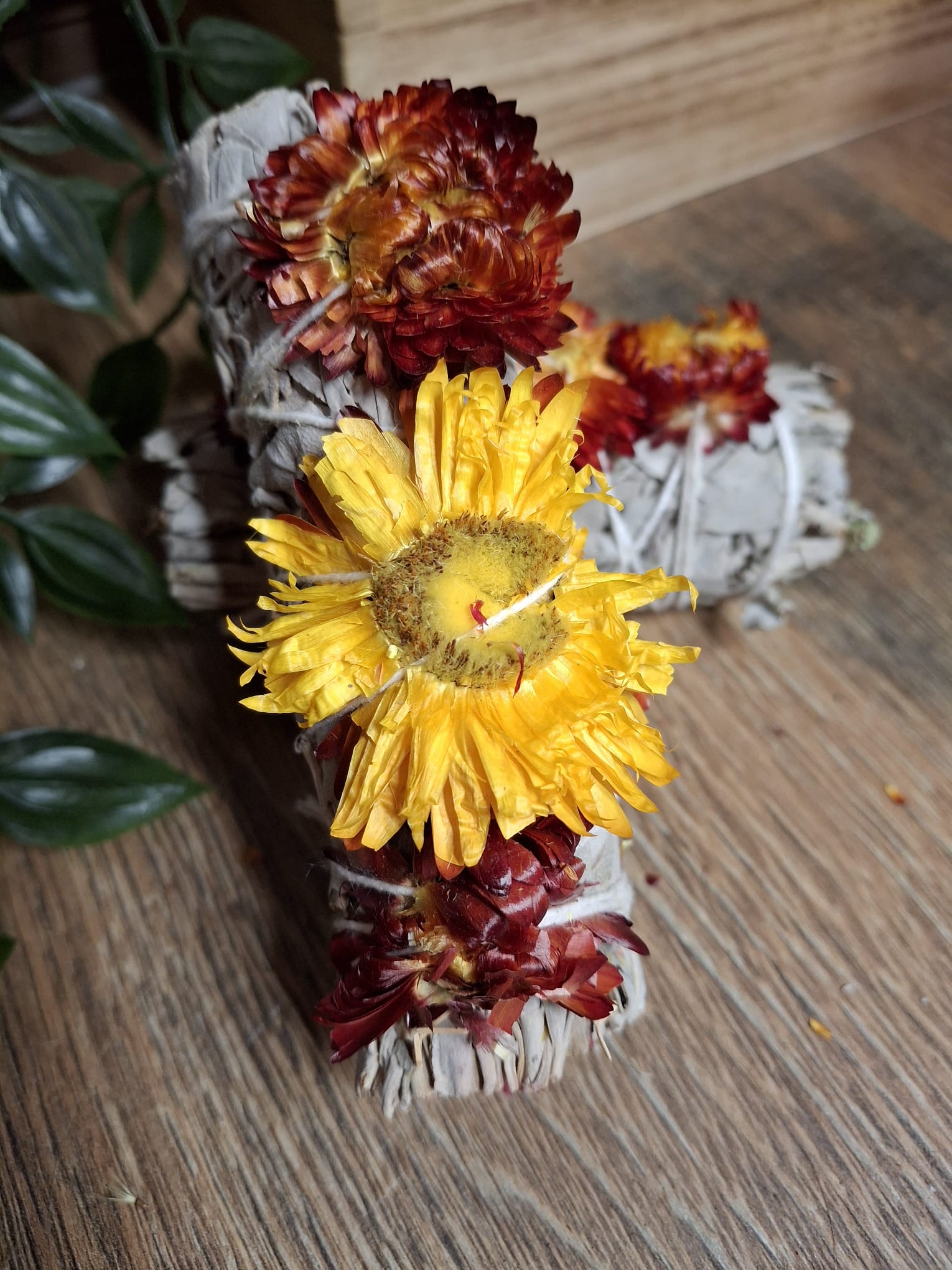 Salvia blanca con Siempreviva